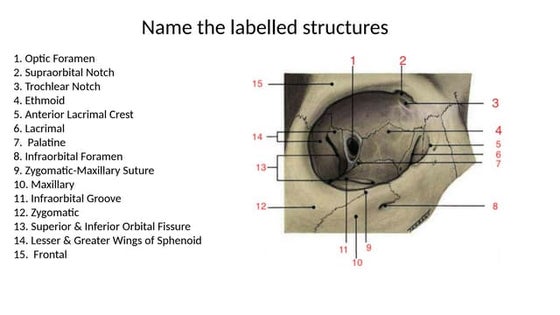Name the labelled structures - Anatomy of Outflow Channels.pptx