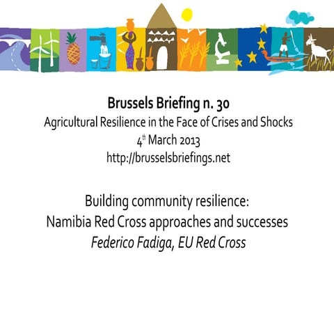 30thBrussels Briefing on Agricultural Resilience  -    8. Federico Fadiga: Bu...