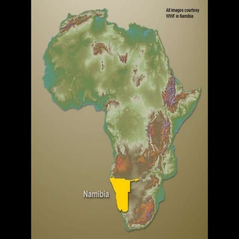 Images from Namibia
