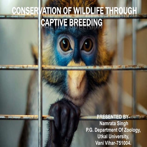 CONSERVATION OF WILDLIFE THROUGH CAPTIVE BREEDING