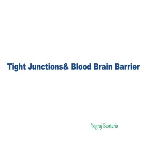 tight junction and blood brain barrier
