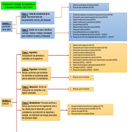 NANDA-.docx
