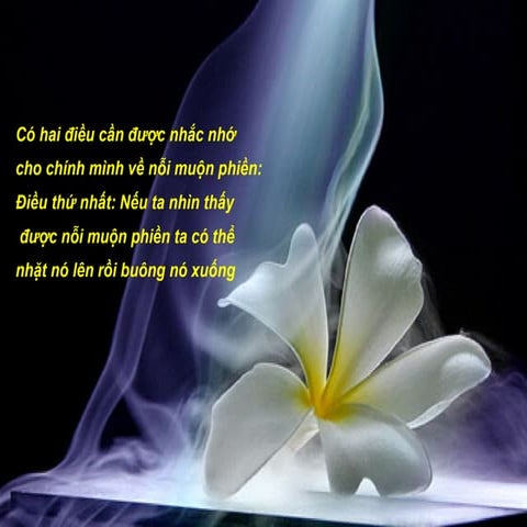 Nang Mua Khong Ngai 3