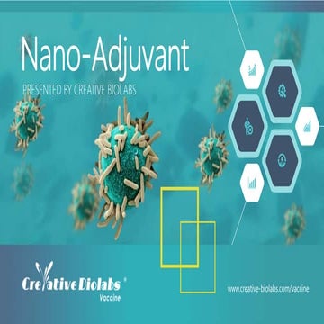 Nano Adjuvant - Creative Biolabs