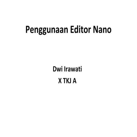  Editor Nano 2
