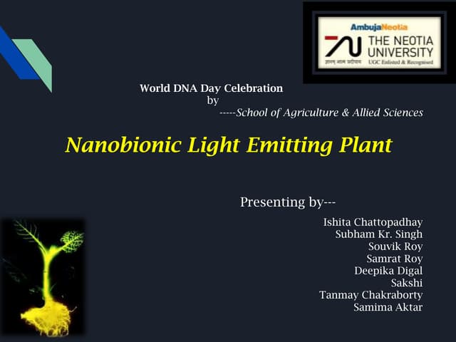 Nanobionic light emitting plant