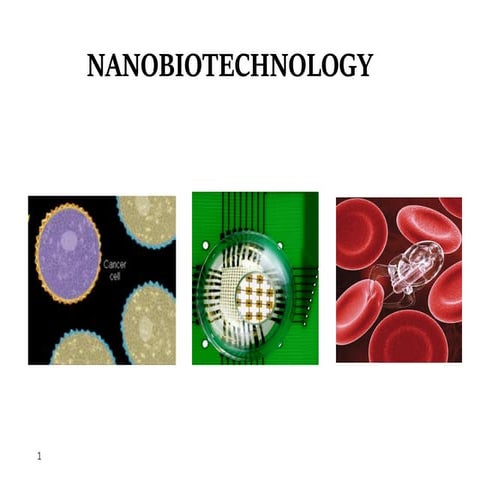Nanobiotechnology.pdf by university of swabi