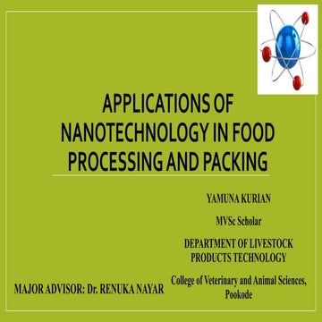 Nanotechnology in food industry | PPTX