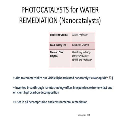 Nanocatalysts lecture 5 cust relationships
