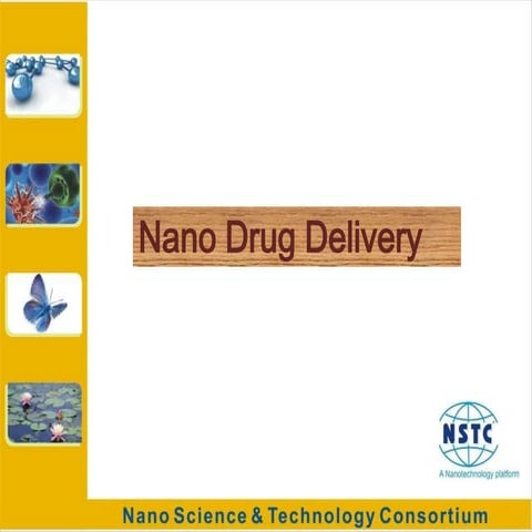 Nano drug delivery