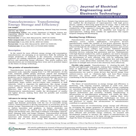 nanoelectronics-transforming-energy-storage-and-efficiency-3EgY.pdf