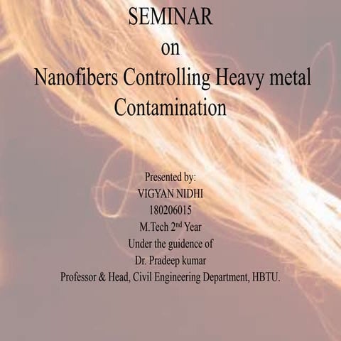 Nanofiber controlling heavy metal contamination