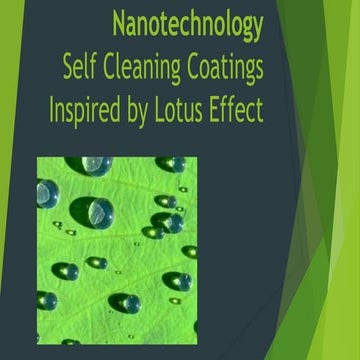 Lotus Effect in Nanotechnology
