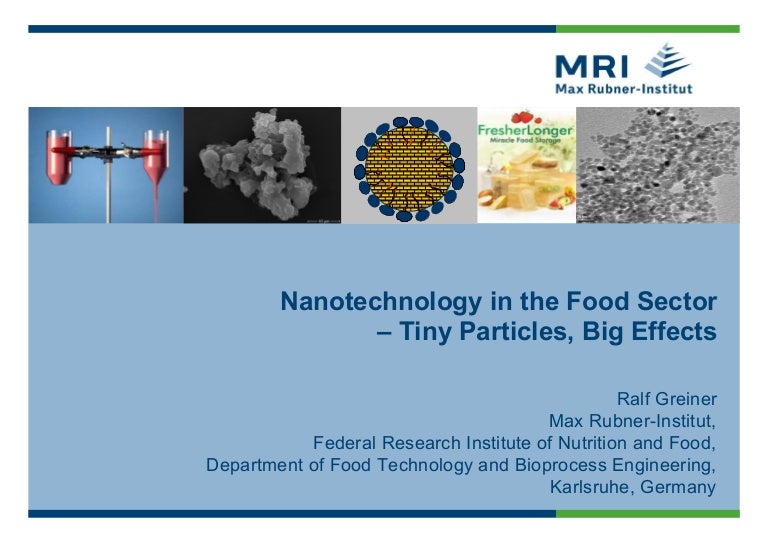 Nanotechnology in the Food Sector_2015