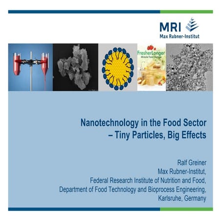 Nanotechnology in the Food Sector_2015 | PDF