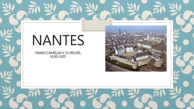 H2fa1 Camellia Nantes frans