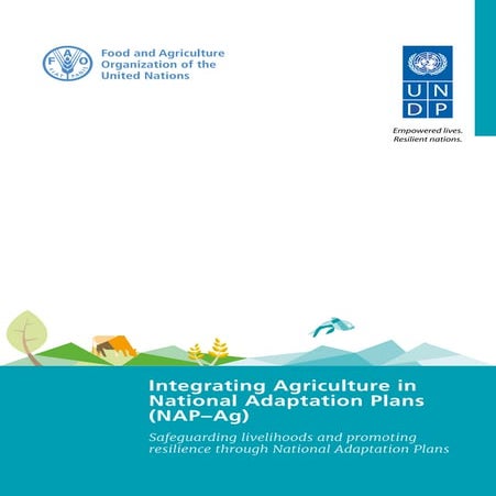 FAO-UNDP Integrating Agriculture in National Adaptation Plans programme (NAP-...