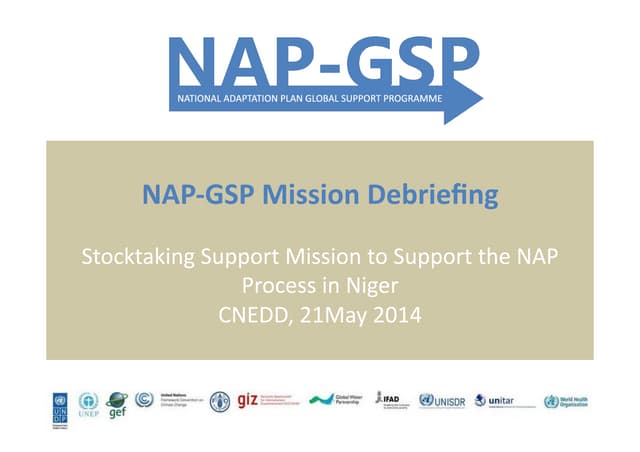 NAP-GSP - Niger Mission Debriefing