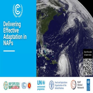 NAP Expo - Delivering effective and adequate adaptation.pptx