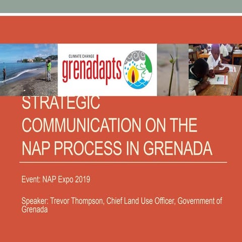 12.1.3 Country case studies: Grenada | PDF