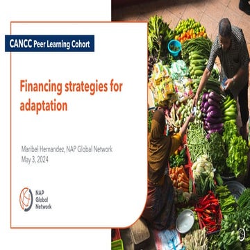 Finance strategies for adaptation. Presentation for CANCC | PDF