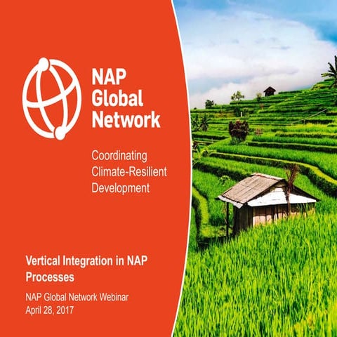 Vertical Integration in NAP Processes