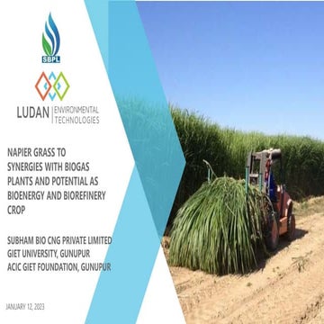 We Formed and development Napier Grass to Energy.pdf