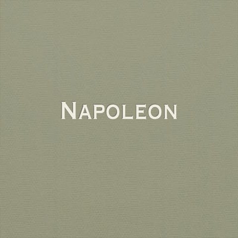 Napoleon