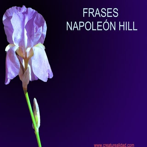 Frases de Napoleon Hill