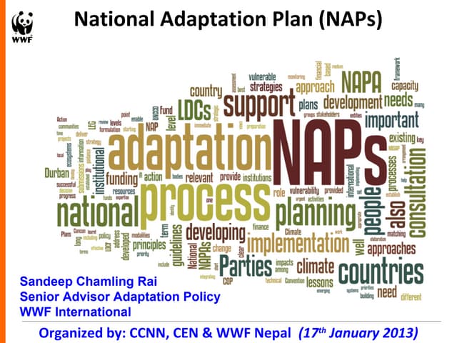 National Adaptation Plans (NAPs)