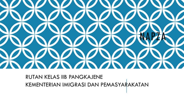 PPT NAPZA | PPTX
