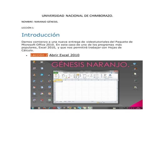 Naranjo genesis excelfinal.