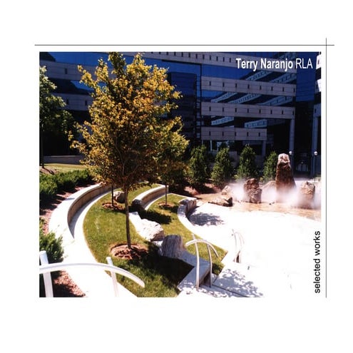 Naranjo portfolio 2010_