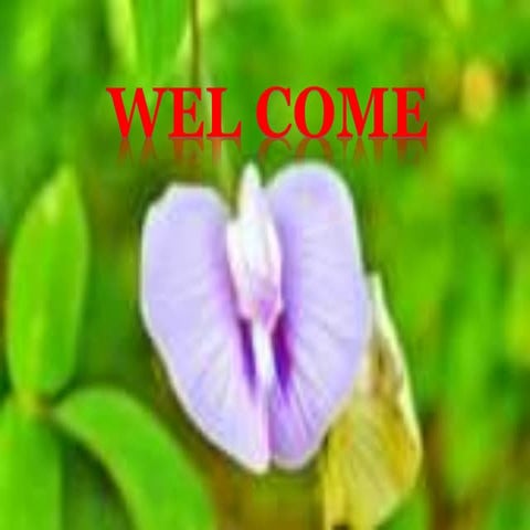 Approaches in Extenstion