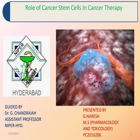 Role of cancer stem cells in cancer therapy