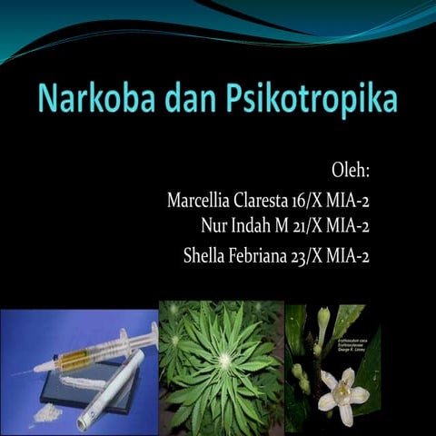 Narkoba, Psikotropika, dan Dampak bagi Pemakainya