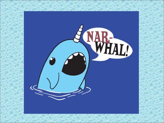 Narwhal