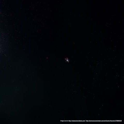 Narwhals, Not Unicorns