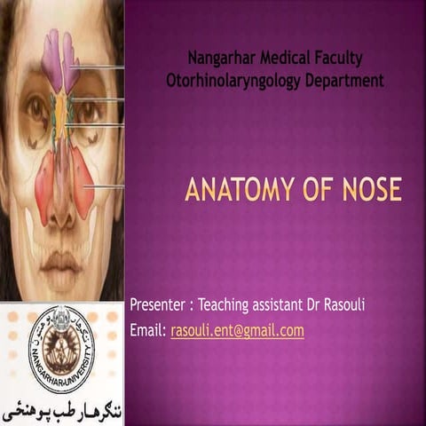 Nose and PNS Anatomy.pptx