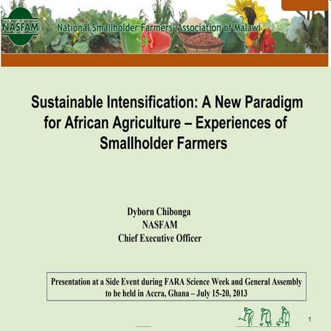 Sustainable intensification: A New Paradigm for African Agriculture – Experie...