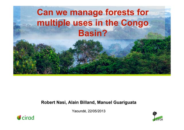 thumbnail of  Can we manage forests for multiple uses in the Congo Basin?