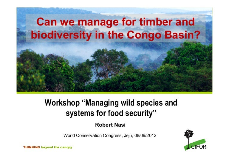 thumbnail of  Can we manage for timber and biodiversity in the Congo Basin?