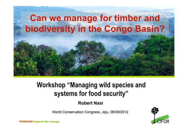 Can we manage for timber and biodiversity in the Congo Basin?