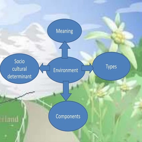 M.Ed EVS Topic- Imortance,Types of Environment 
