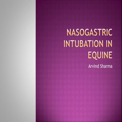 Nasogastric intubation in equine
