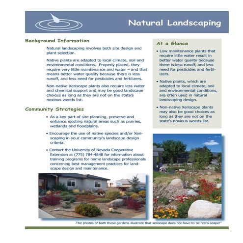 Natural Landscaping - University of Nevada