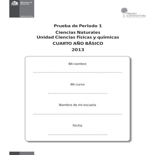 Nat4 b prueba-periodo_1