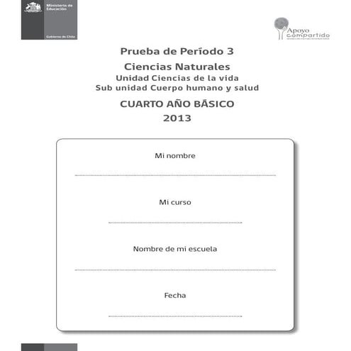 Nat4 b prueba-periodo_3