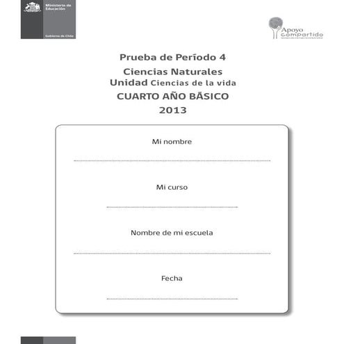 Nat4 b prueba-periodo_4