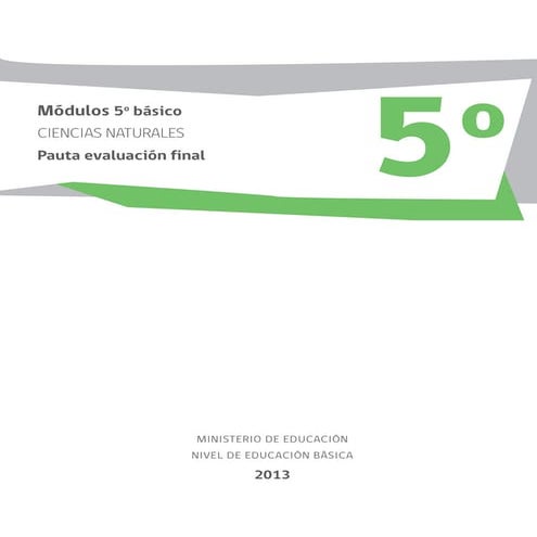 Nat5 b pauta-prueba_final